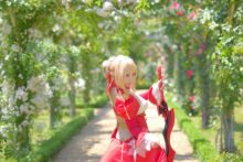 Fate – Saku – Saber (13)