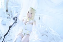 Fate – Saku – Saber (139)