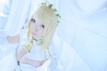 Fate – Saku – Saber (153)