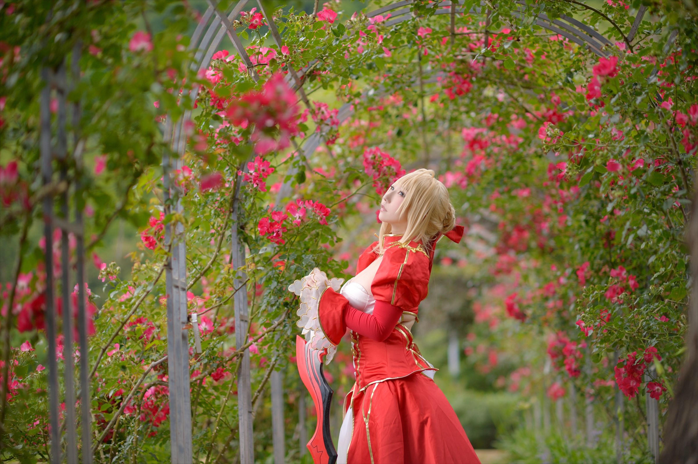 Fate – Saku – Saber