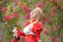 Fate – Saku – Saber (156)