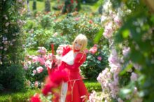 Fate – Saku – Saber (16)