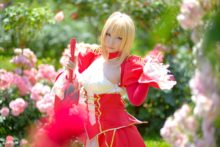 Fate – Saku – Saber (17)