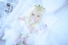 Fate – Saku – Saber (172)