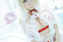 Fate – Saku – Saber (175)