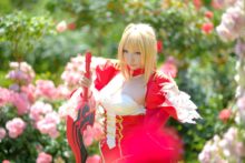 Fate – Saku – Saber (18)