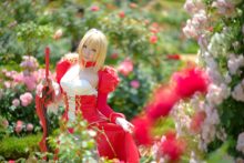 Fate – Saku – Saber (20)