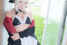 Fate – Saku – Saber (216)