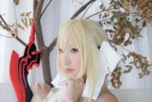 Fate – Saku – Saber (218)