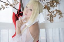 Fate – Saku – Saber (219)