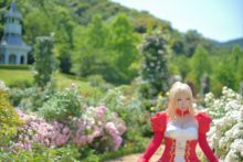 Fate – Saku – Saber (22)