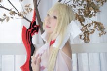 Fate – Saku – Saber (221)
