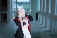 Fate – Saku – Saber (221)