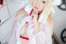 Fate – Saku – Saber (231)