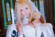 Fate – Saku – Saber (245)