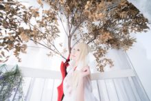 Fate – Saku – Saber (245)