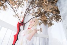 Fate – Saku – Saber (246)