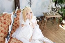 Fate – Saku – Saber (253)