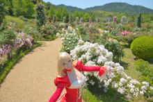Fate – Saku – Saber (26)