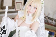 Fate – Saku – Saber (260)