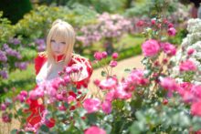 Fate – Saku – Saber (29)