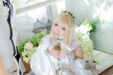 Fate – Saku – Saber (305)