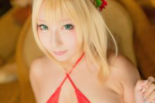 Fate – Saku – Saber (307)