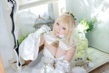 Fate – Saku – Saber (308)