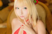 Fate – Saku – Saber (309)