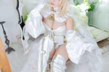 Fate – Saku – Saber (311)