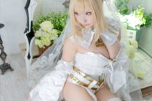 Fate – Saku – Saber (313)