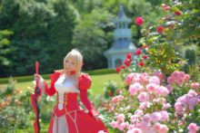 Fate – Saku – Saber (33)