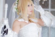 Fate – Saku – Saber (339)