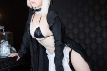 Fate – Saku – Saber (40)