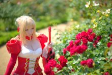 Fate – Saku – Saber (44)