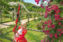 Fate – Saku – Saber (5)