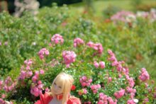Fate – Saku – Saber (51)