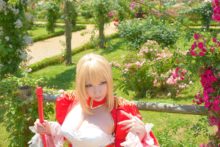 Fate – Saku – Saber (6)