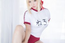 Fate – Saku – Saber (71)