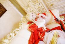 Fate – Saku – Saber (83)
