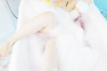 Granblue Fantasy – Sachi Budou – Tanya (265)