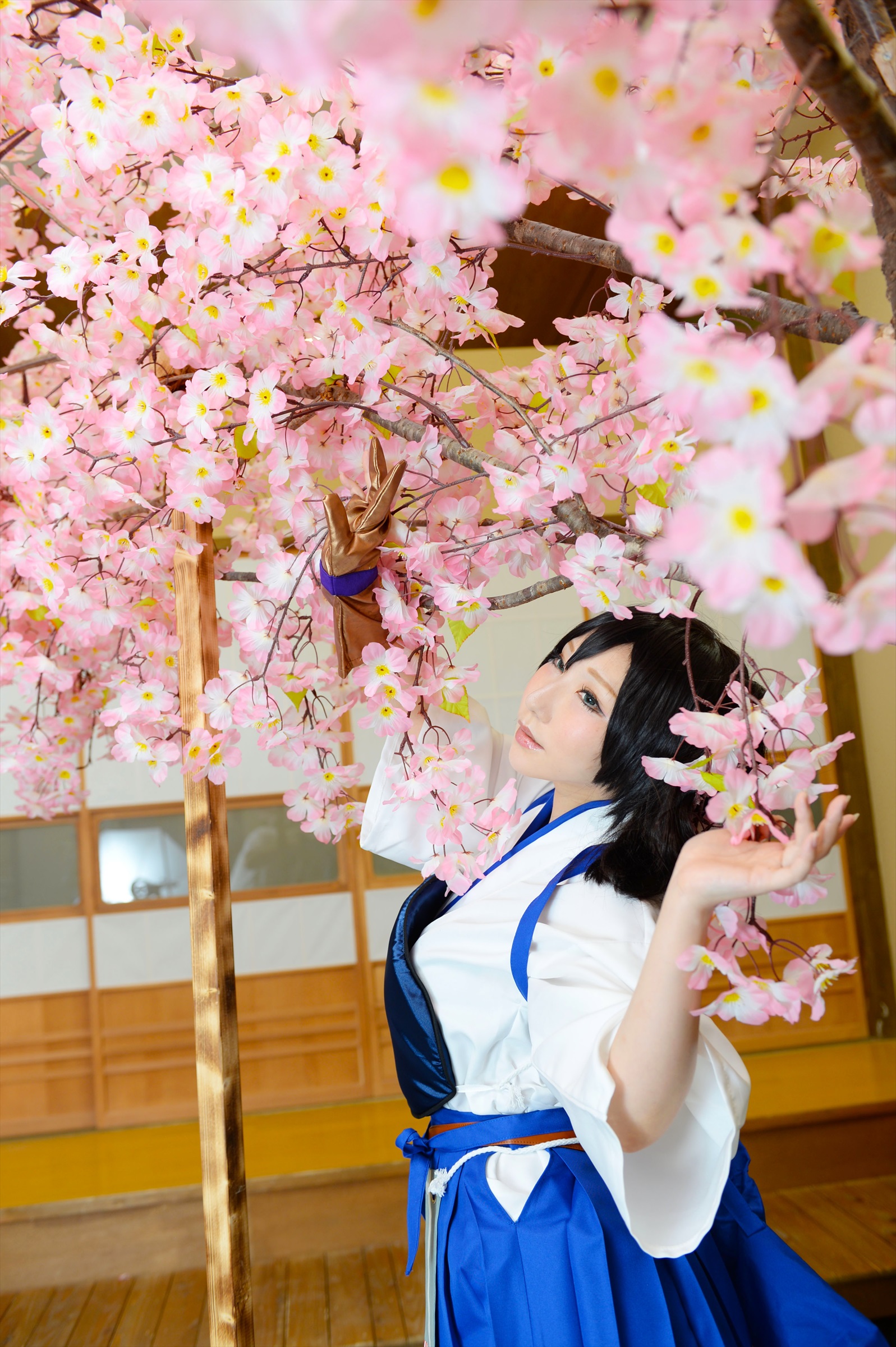 Kancolle – Saku
