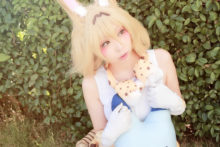 Kemono Friends – Momoiro Reku (175)