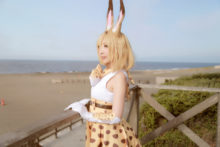 Kemono Friends – Momoiro Reku (285)